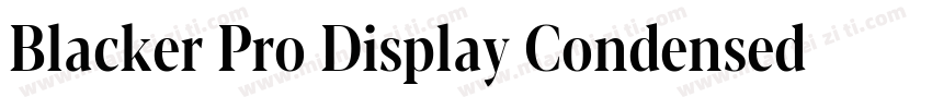 Blacker Pro Display Condensed Trial字体转换